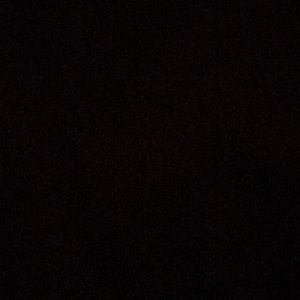 Meet your Posher, Lizzy